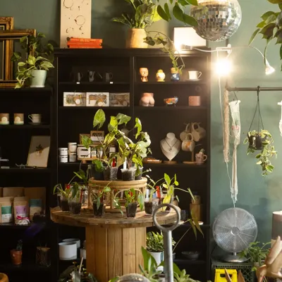 Booch Haus Plant & Gift Lounge, business photo 1