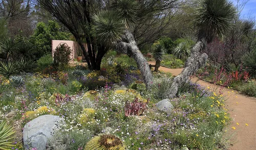Boyce Thompson Arboretum
